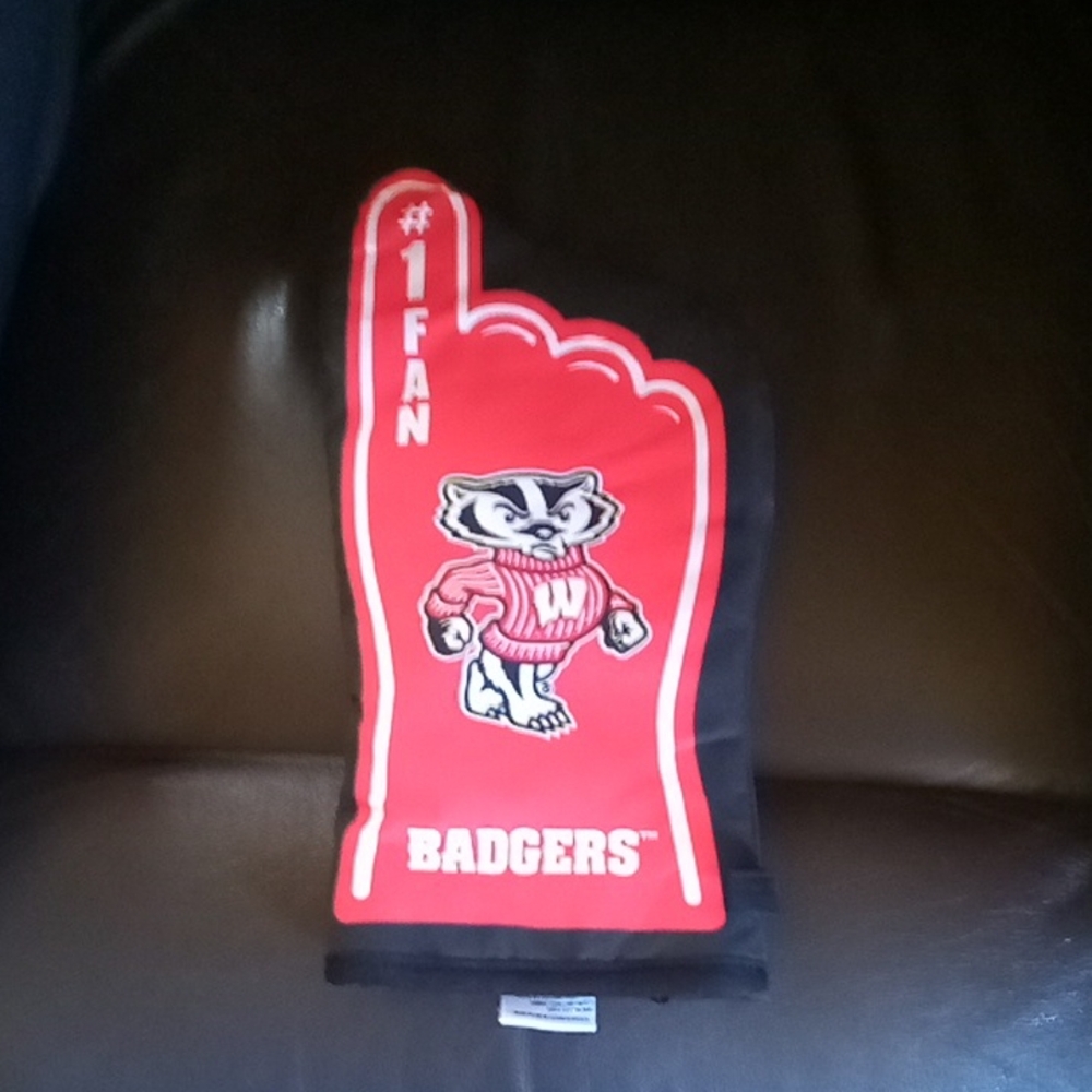 Wisconsin Badgers Oven Mitt